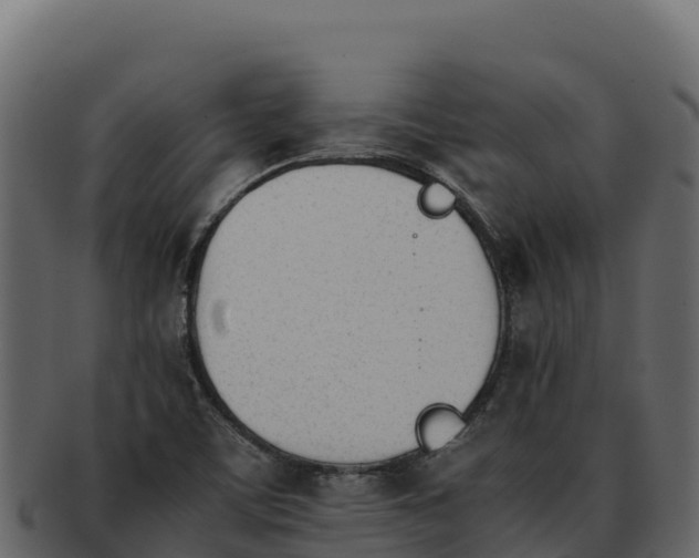 X0000092291459200710041420