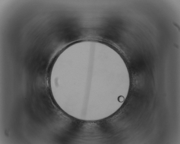 X0000092291462200710041420