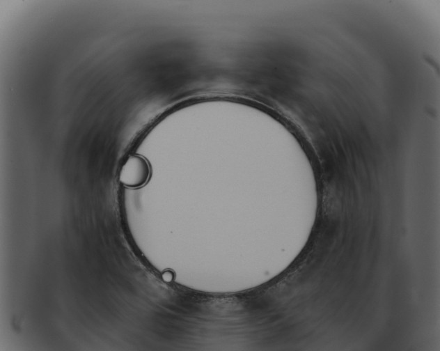 X0000092291464200710041420