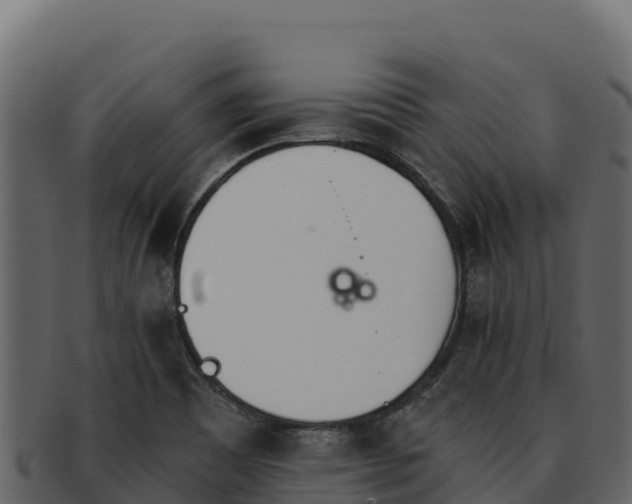 X0000092291465200710041420