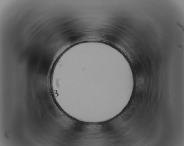 X0000092291466200710041420