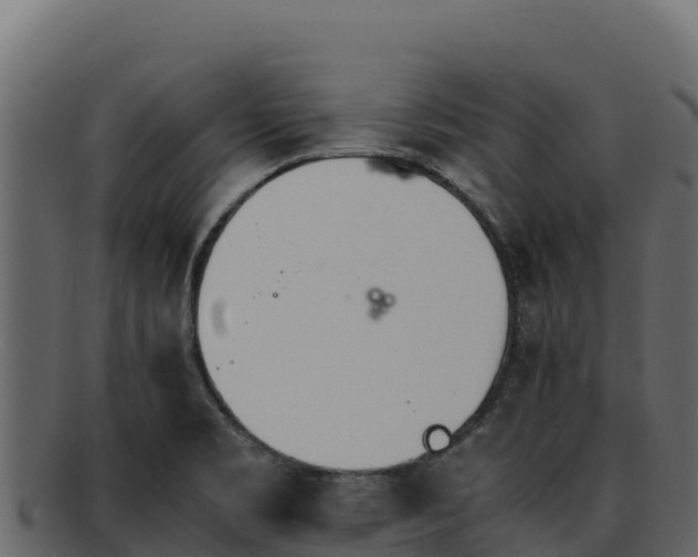 X0000092291469200710041420