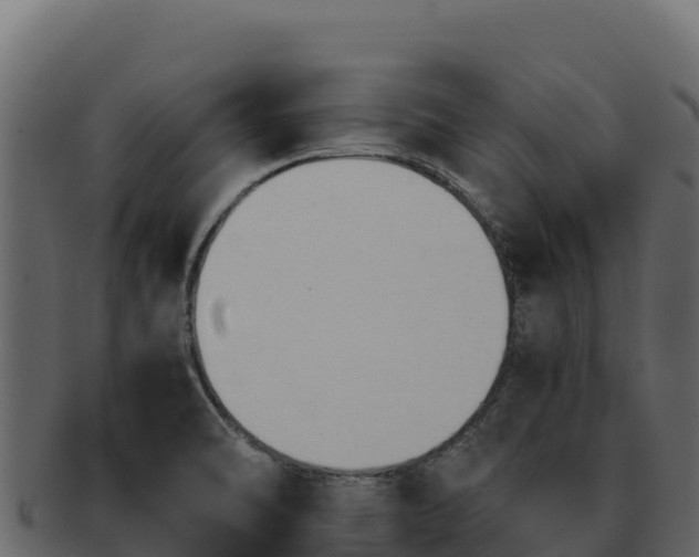 X0000092291470200710041420