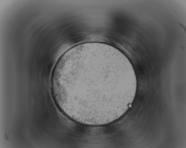 X0000092291471200710041420