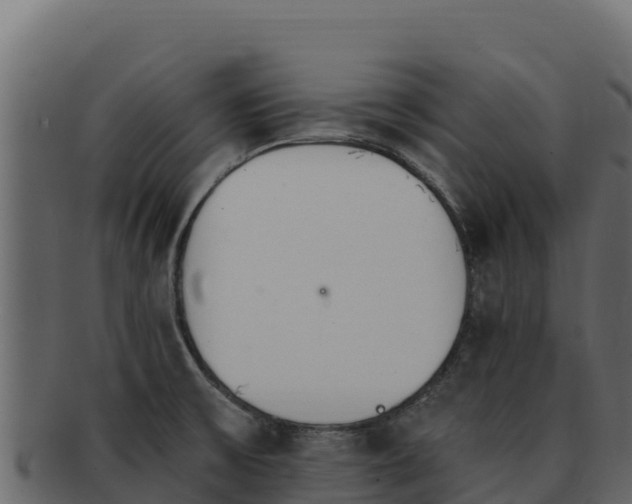 X0000092291475200710041420