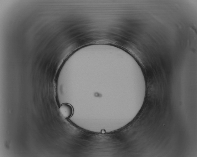 X0000092291476200710041420