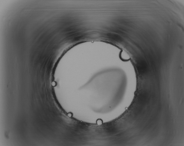 X0000092291477200710041420