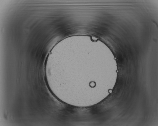 X0000092291479200710041420