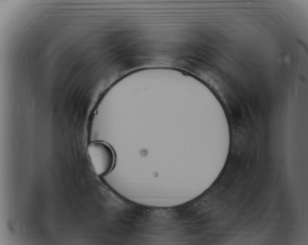 X0000092291480200710041420