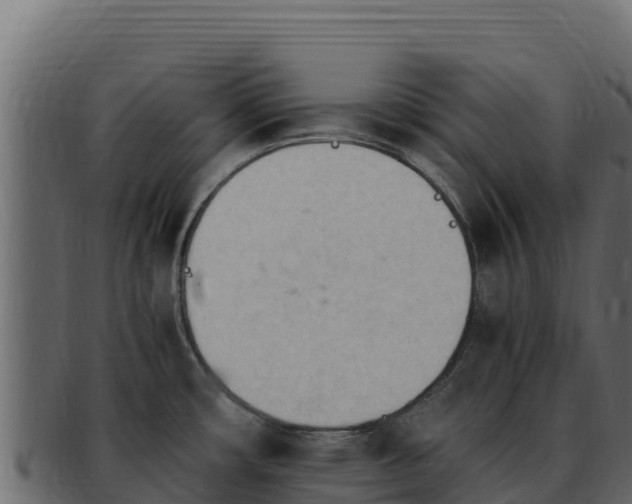 X0000092291482200710041420