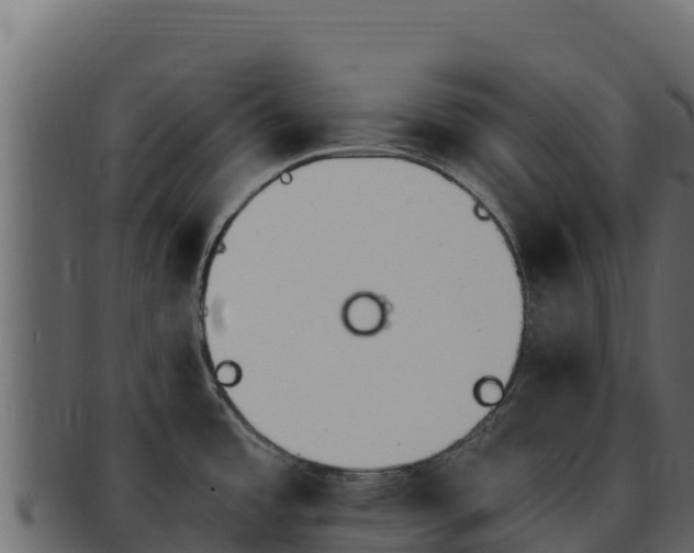 X0000092291485200710041420