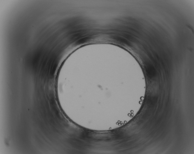 X0000092291486200710041420