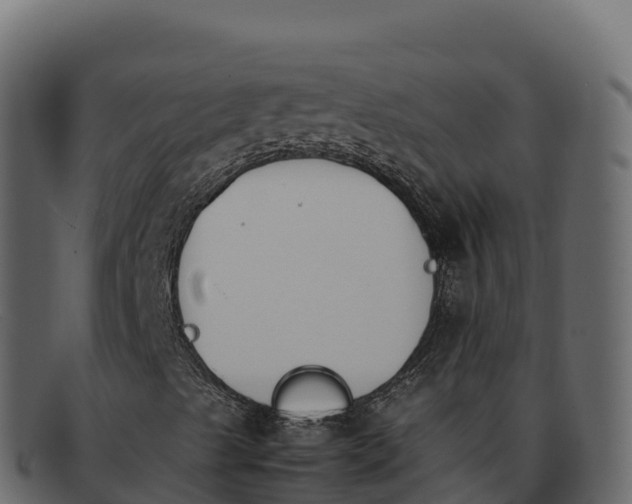 X0000092291489200710041419