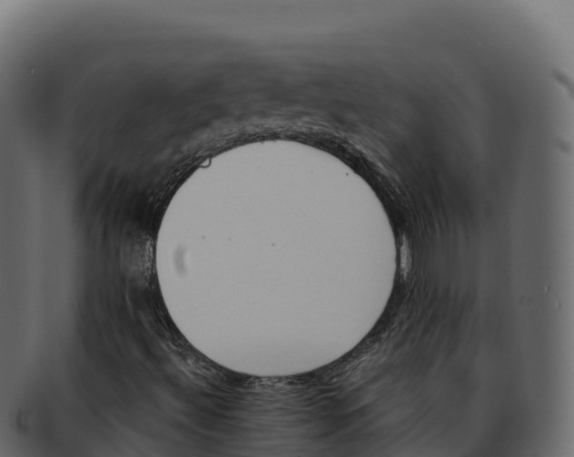 X0000092291492200710041419