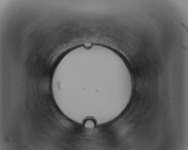 X0000092291499200710041419