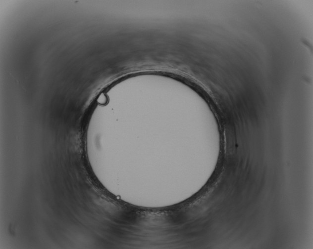 X0000092291501200710041419