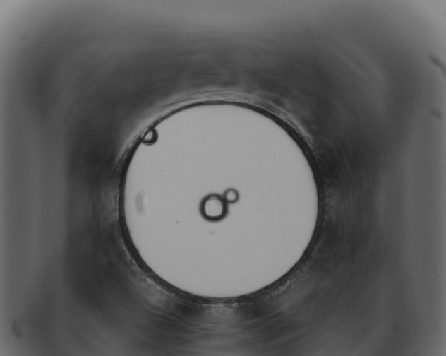 X0000092291504200710041419