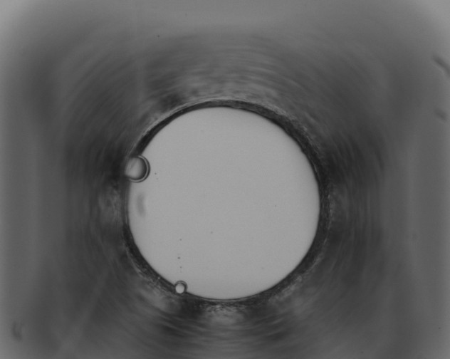 X0000092291505200710041419