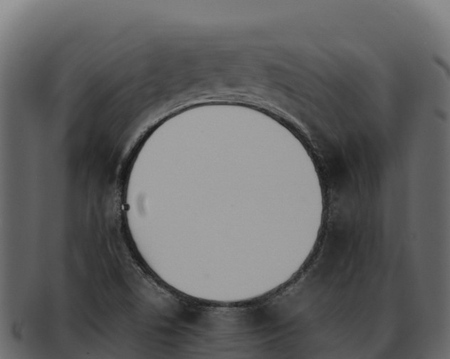 X0000092291506200710041419