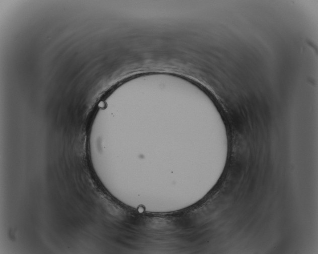 X0000092291507200710041419