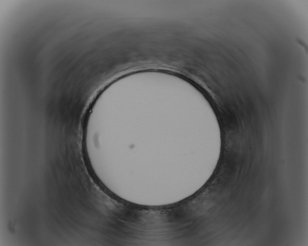 X0000092291508200710041419