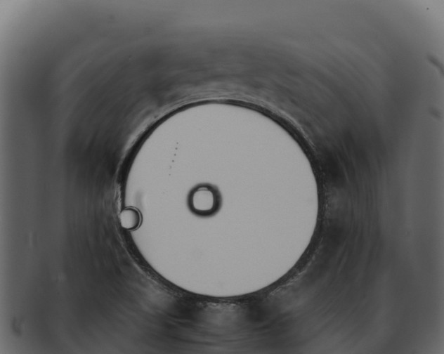 X0000092291509200710041419