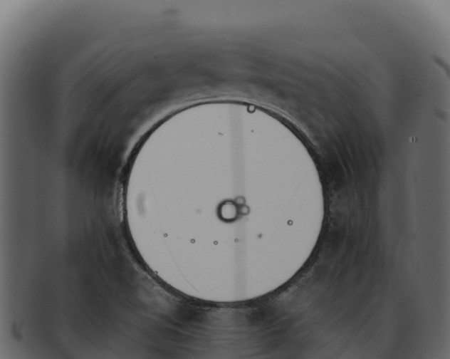 X0000092291510200710041419