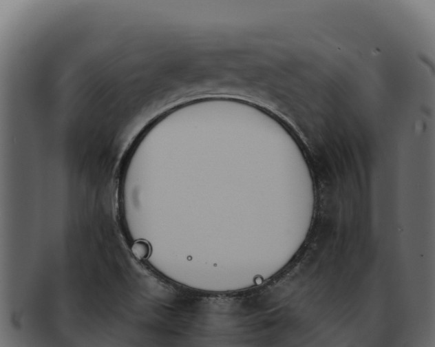 X0000092291511200710041419