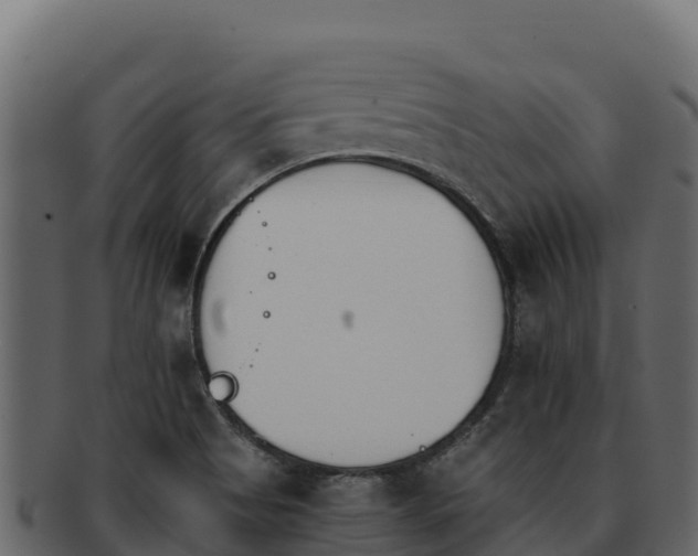 X0000092291513200710041419