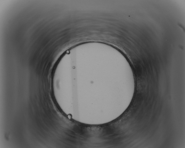 X0000092291515200710041419