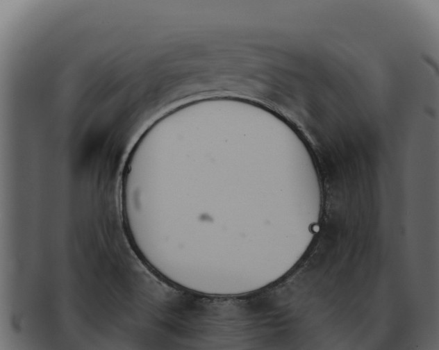 X0000092291516200710041419