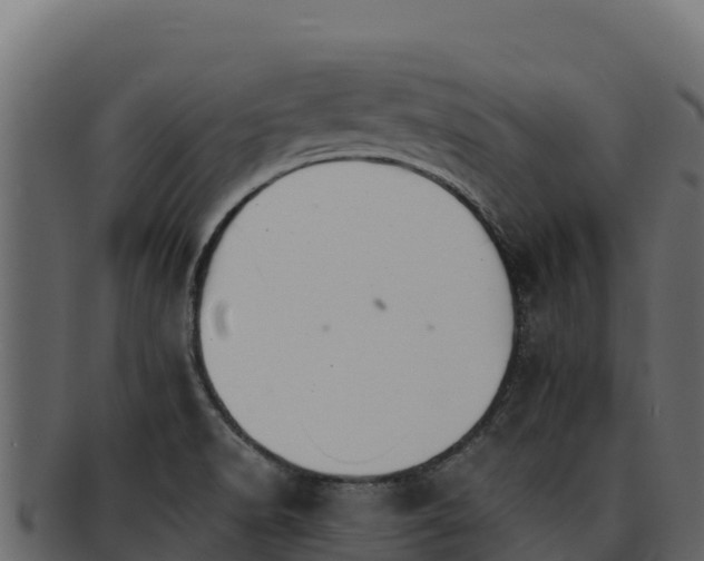 X0000092291518200710041419