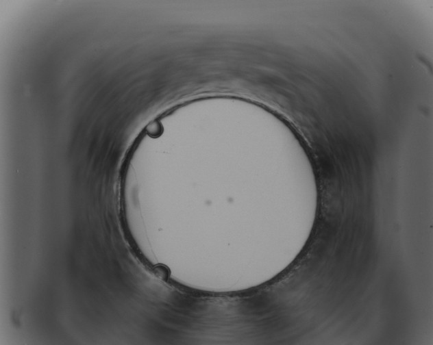 X0000092291519200710041419