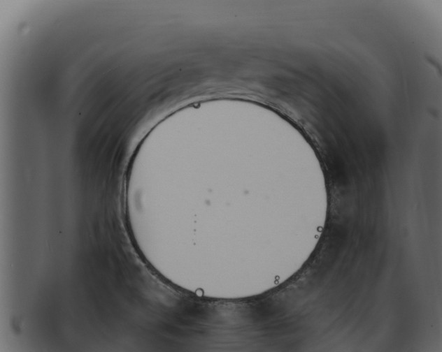 X0000092291520200710041419