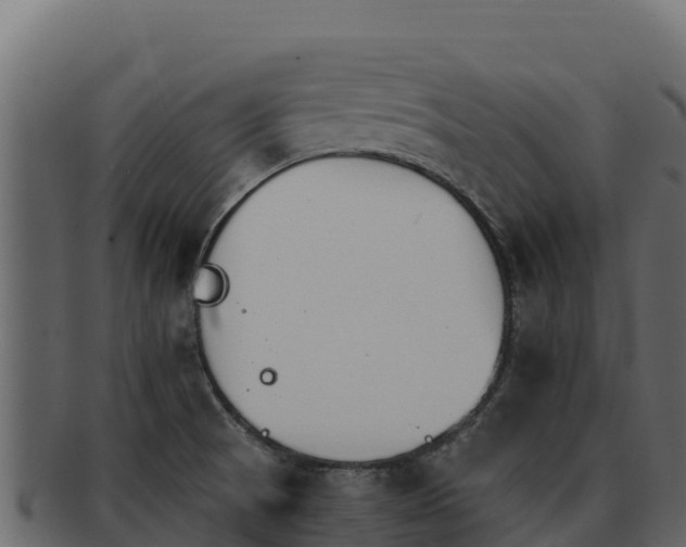 X0000092291521200710041419