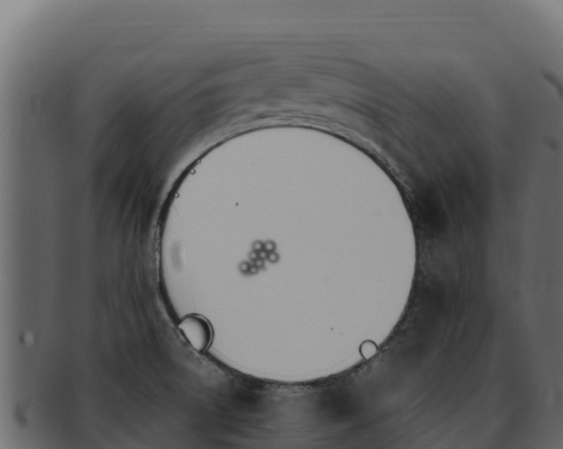 X0000092291522200710041420