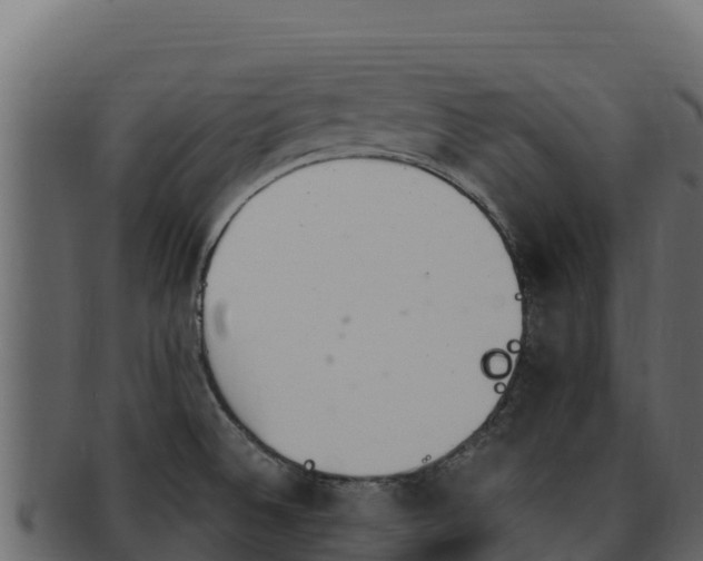 X0000092291524200710041420