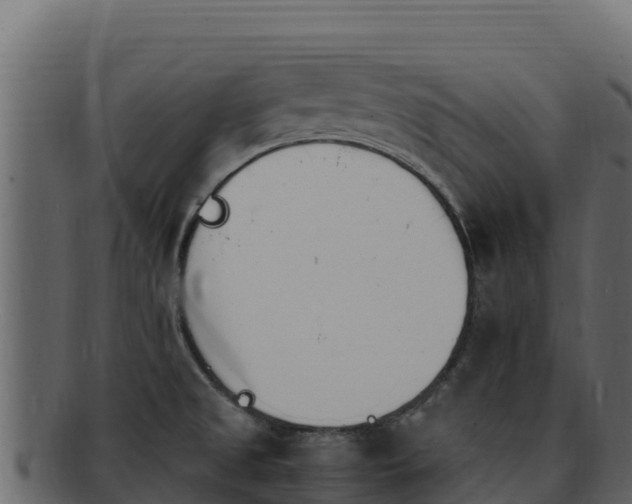 X0000092291525200710041420