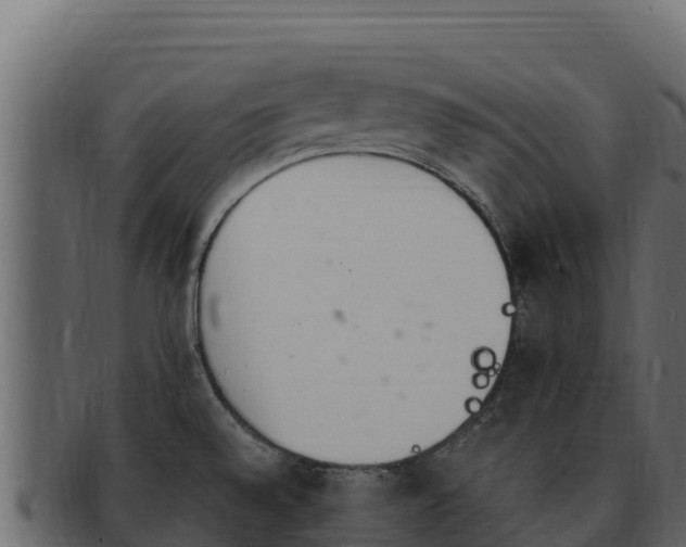 X0000092291528200710041420