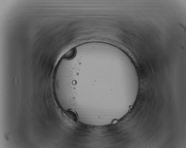 X0000092291530200710041420