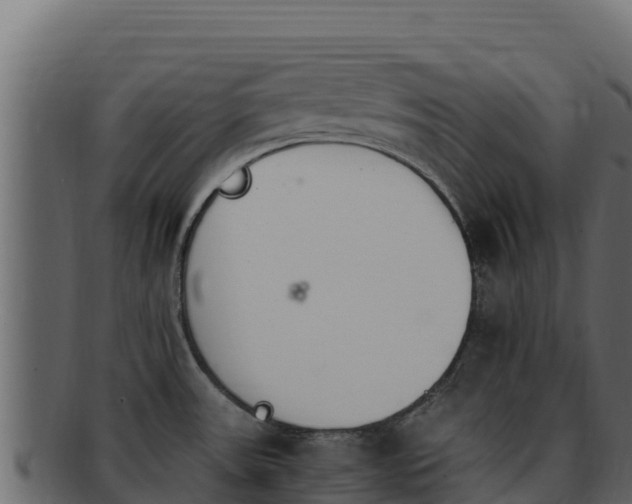 X0000092291531200710041420