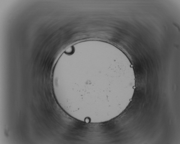 X0000092291532200710041420