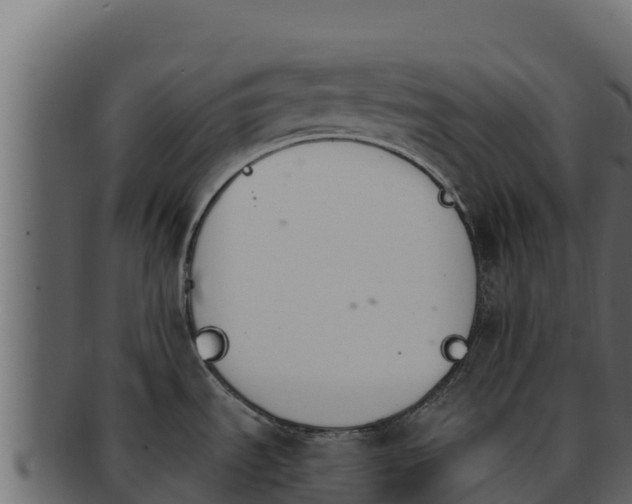 X0000092291535200710041420