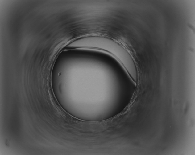 X0000092290001200710051210