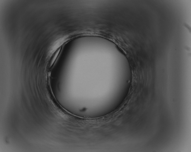 X0000092290005200710051210