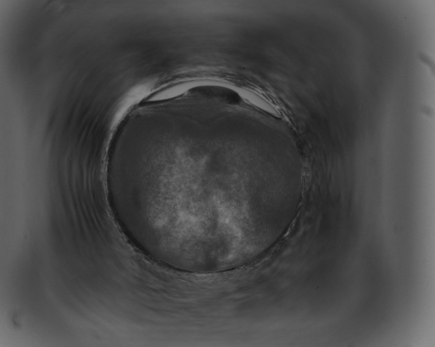 X0000092290006200710051210