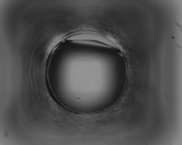 X0000092290007200710051210