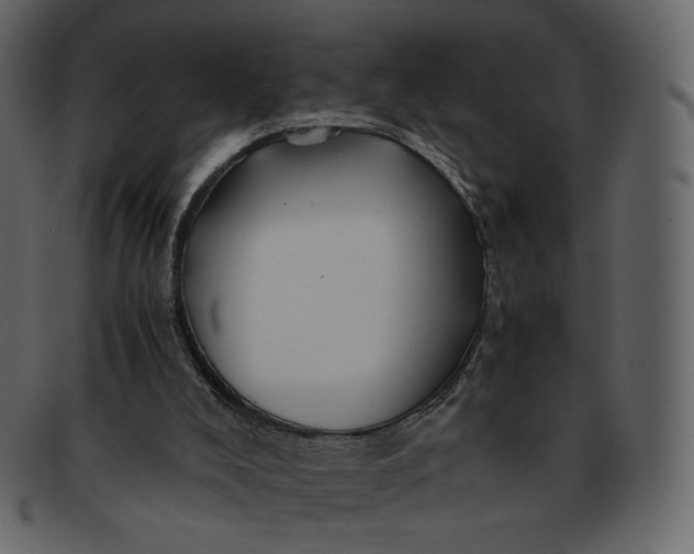 X0000092290008200710051210