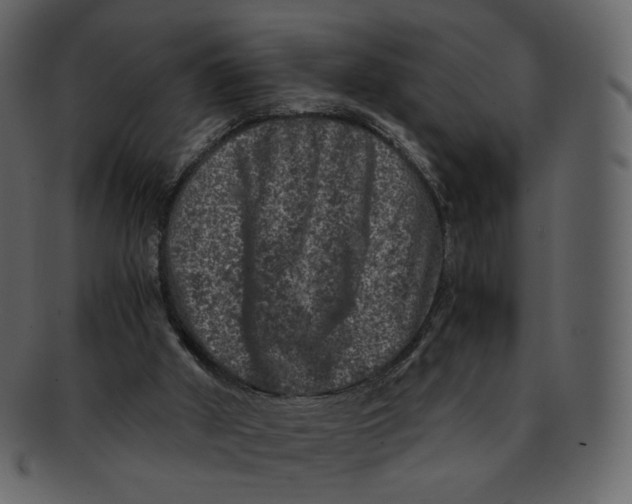 X0000092290010200710051210