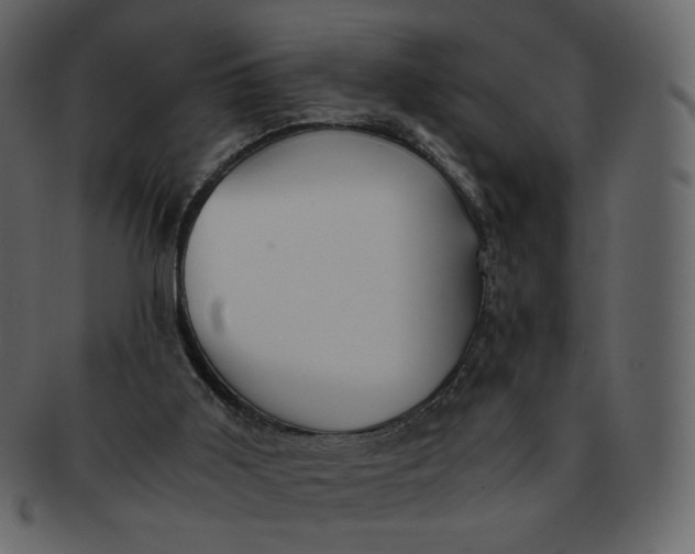 X0000092290011200710051210